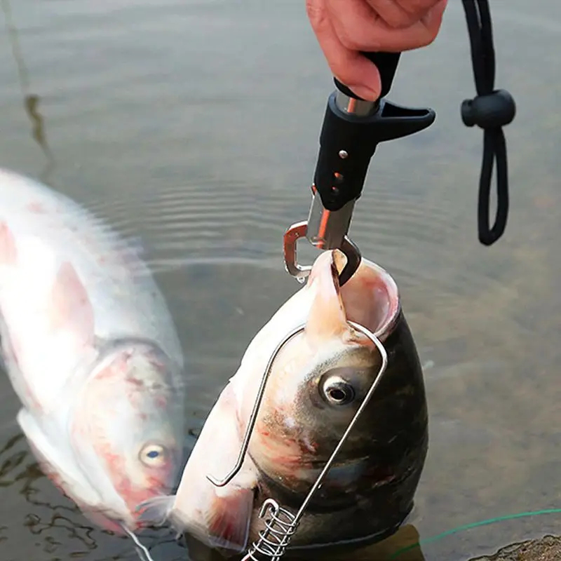 1/2/3/4/5pcs Portable Fishing  - Freshwater Fishing Kit บทวิจารณ์และราคา